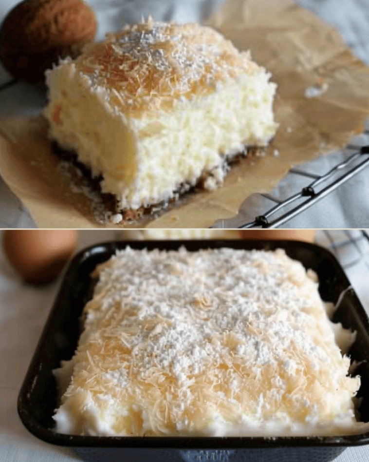 KOKOSKUCHEN MIT VANILLEPUDDING – Oh Mann, das ist lecker - catsideal