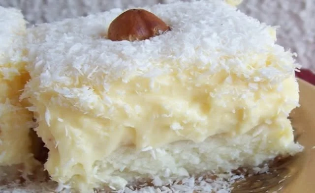 Saftiger Kokoskuche mit Vanillepudding auf einem Teller