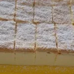 Zitronen Mascarpone-Schnitten auf einem Teller dekoriert mit frischen Zitronen.